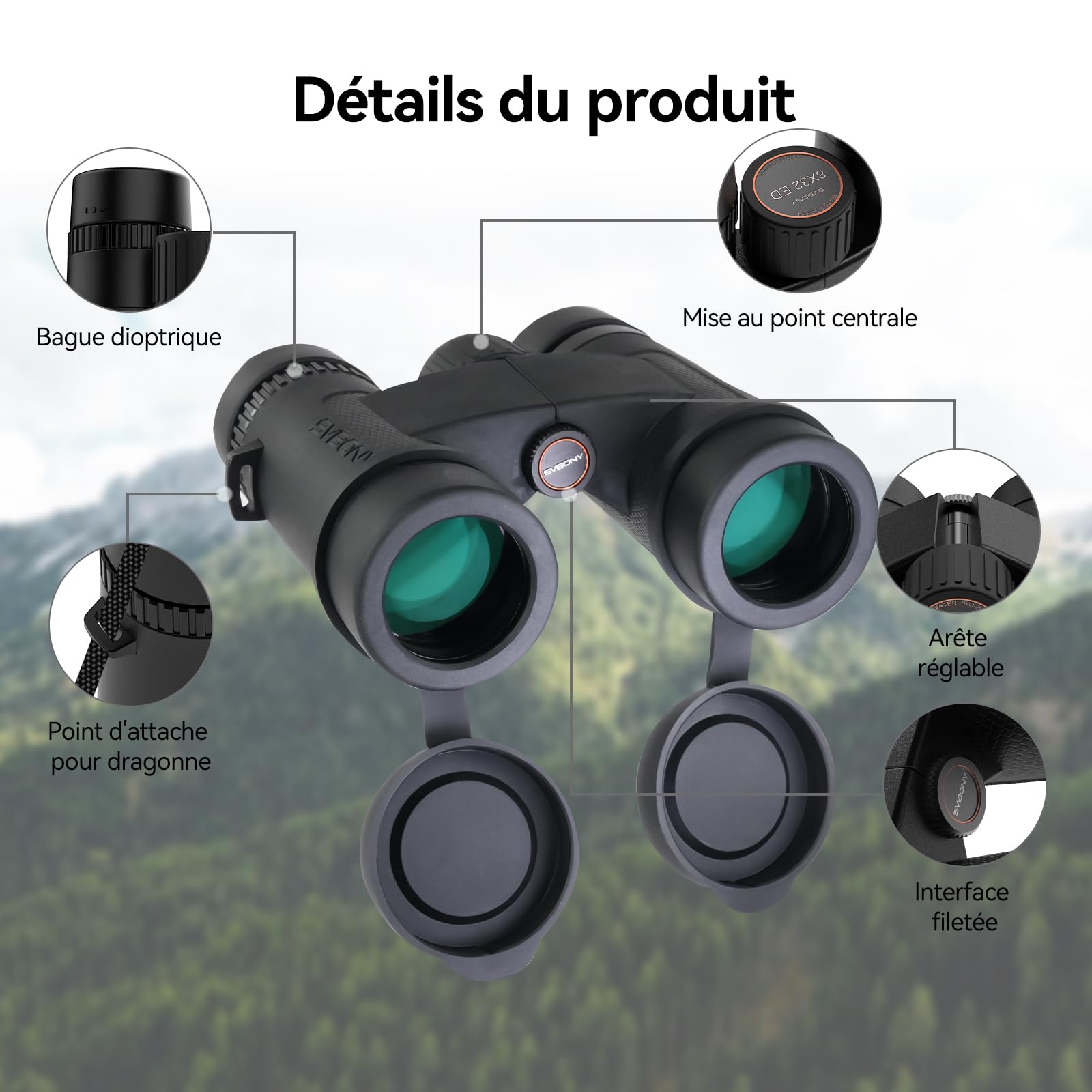 Svbony SV202 Upgraded 8x32 ED Fernglas, BAK4 Prisma FMC Objektiv, IPX7 Wasserdicht, Phasenkorrektur, Dielektrische Prismenbeschichtung, Weitwinkel für Erwachsene, Vogelbeobachtung