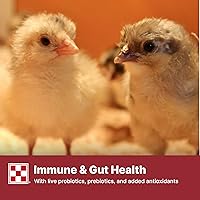 Vista 7 de Purina Comience y crezca Nutricionalmente Completo Alimento Medicado Crumbles Bolsa de 5 libras (5 libras)