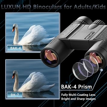 LUXUN Compact Binoculars for Adults Kids, 15x25 Mini Binoculars High Powered, Small Binocular for Bird Watching, Cruise Ship, Travel, Hiking,Camping