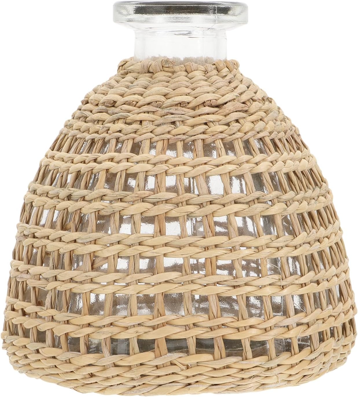 DOITOOL Glass Vase with Rattan Cover, Boho Flower Vase Straw Woven Glass Decorative Bud Container Farmhouse for Home Arrangement Table Decoration