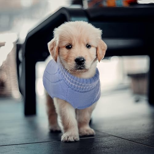 Miniatura 6 de ROZKITCH Suéter para perro, suéter de punto para clima frío para otoño e invierno, suéter de cuello alto para perro, ropa clásica gruesa y cálida