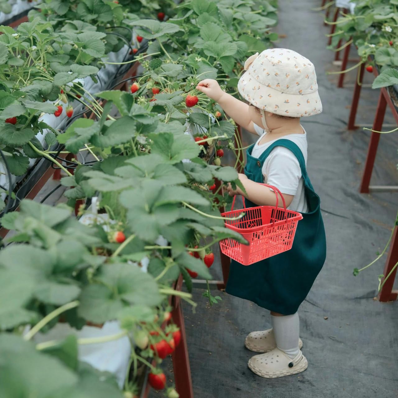 Cabilock 20pcs Small Fruit Basket Strawberry Cherry Basket Plastic Handle Container Red Mini Shopping Kids Adult Fruit Picking 23. 5x17x11cm Random Patterns