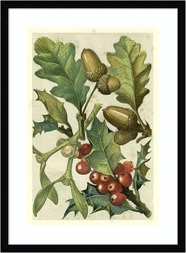 Miniatura 11 de Amanti Art Lienzo decorativo para pared enmarcado de 44 x 32 pulgadas, frutas y follaje II por Vision Studio, arte de pared de naturaleza, Búho