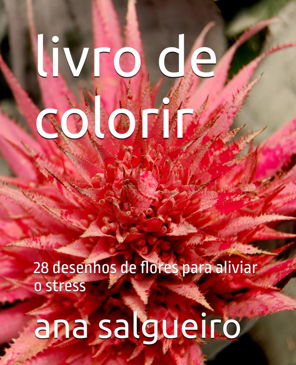 livro de colorir: 28 desenhos de flores para aliviar o stress