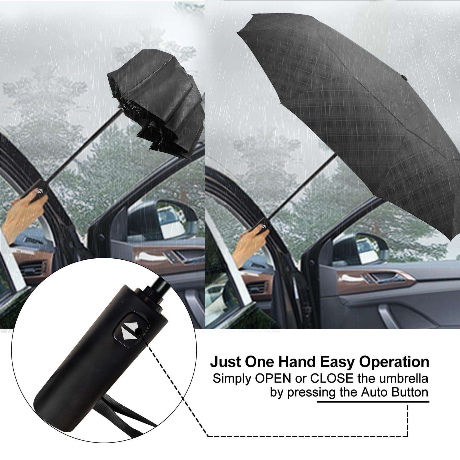 View 5