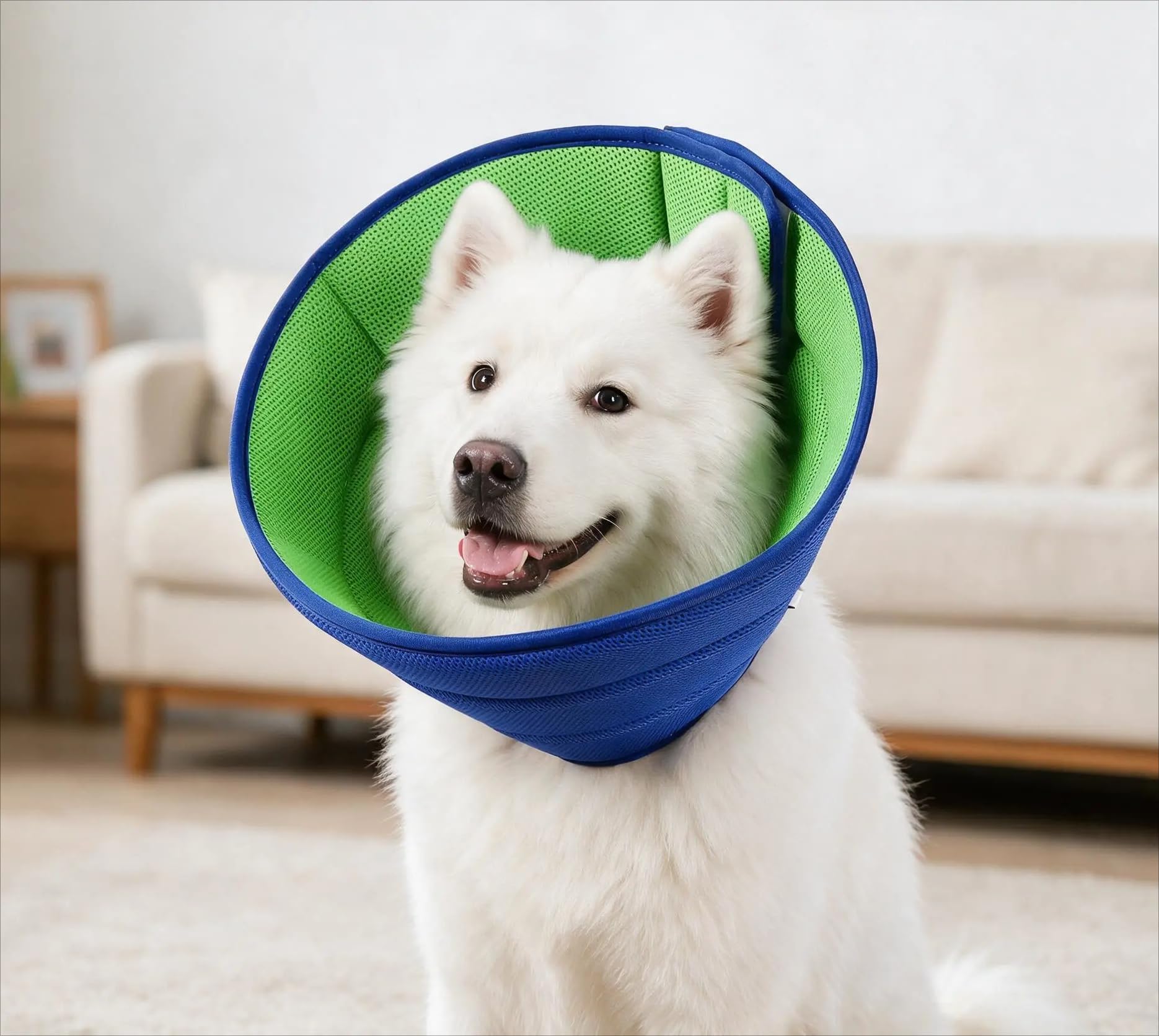 Dog Cone Collar for Small Dogs, 30-35cm Soft Recovery Cone After Surgery, Adjustable Buster Collar for Pets Prevent Licking, Blue