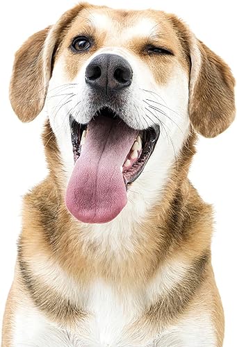 Miniatura 9 de Toldo para ventana, toldo de puerta, cubierta moderna de policarbonato, protección contra la lluvia UV, nieve, luz solar, toldos duraderos y