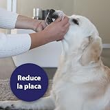 Ver la foto 3