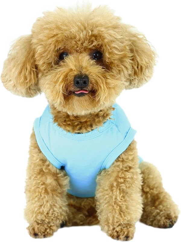 Camiseta para Cachorros sem Mangas Paiaite com Estampa “I Love My Daddy” Azul-claro Tamanho M