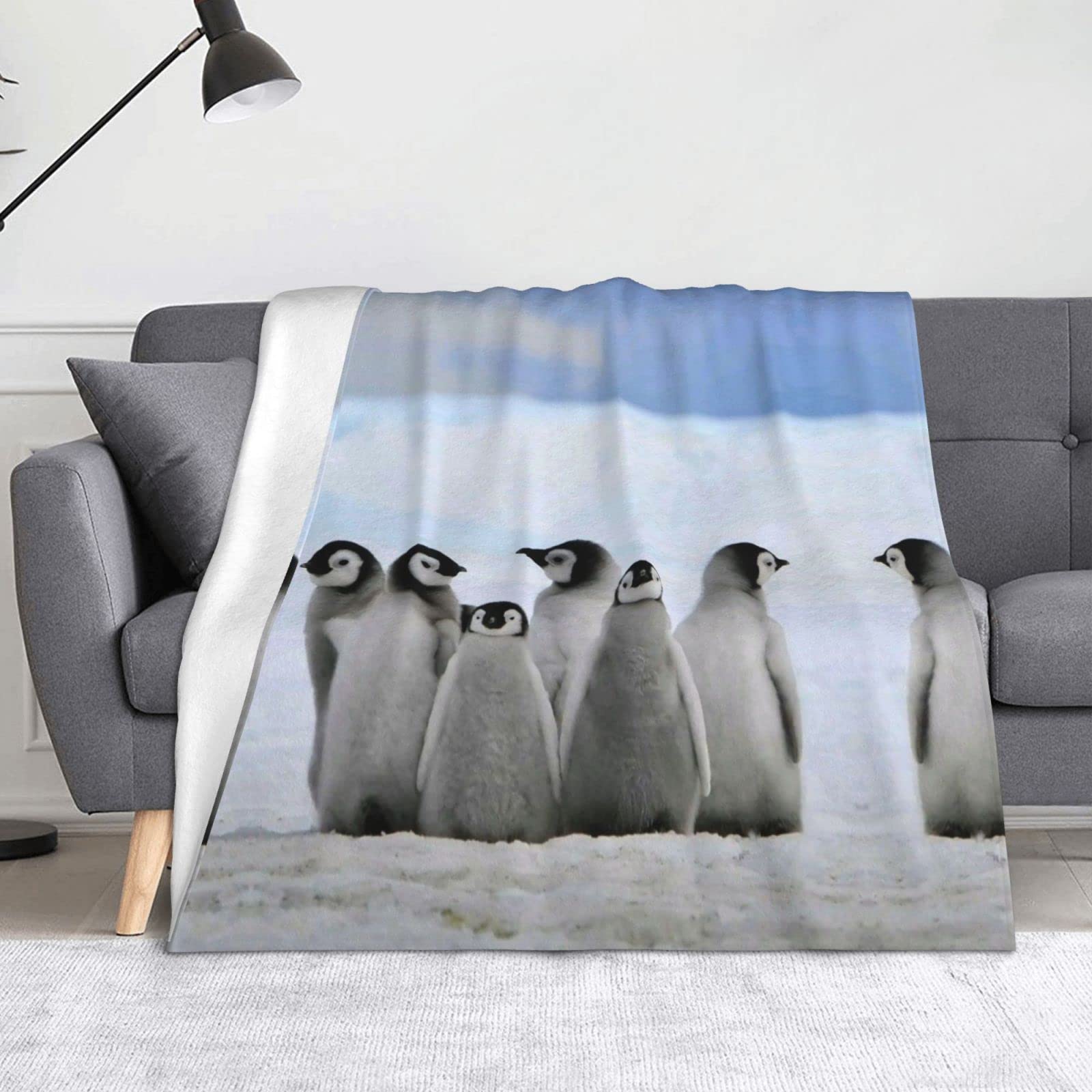 Couverture en microfibre super douce contre le froid du lit et canapé