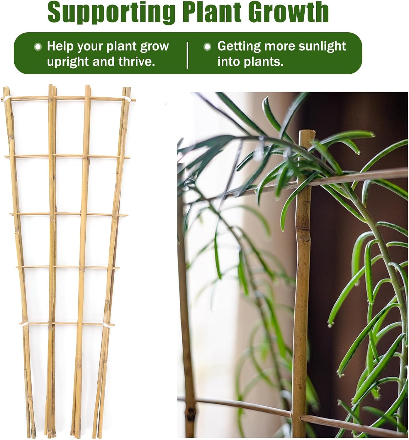 Bamboo Trellis,3Ft,3Pack,Climbing PlantsTrellis, Fan-Shaped Trellis,for Outdoor and Indoor Potted Climbing Plants,Vegetables, Cucumber, Tomato, Hoya