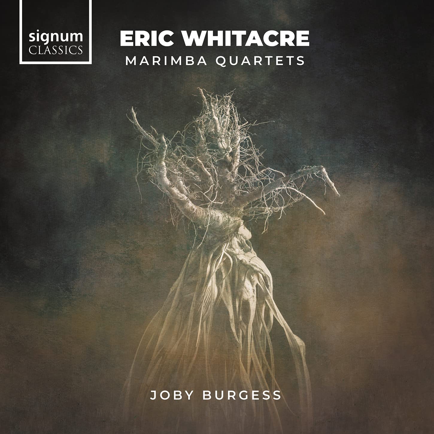 Eric Whitacre: Marimba Quartets by Joby Burgess (CD, 2020)
