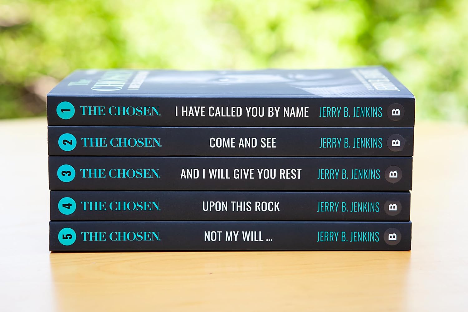 The Chosen Novels 1-5