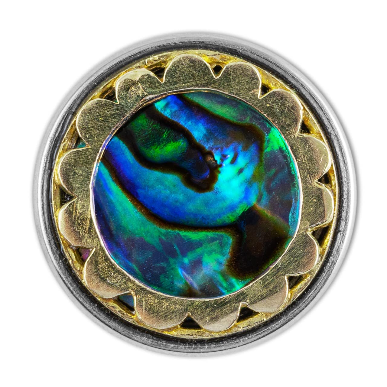 NOOSA-Amsterdam ORIGINAL Chunk SCALLOPED ABALONE