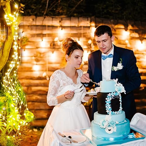 Miniatura 5 de YITING 10 hebras de 200 luces led con energía solar, luces solares parpadeantes resistentes al agua (la regadera no está incluida), 8 modos, luces