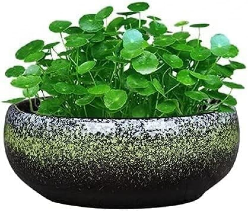 Ceramiczna doniczka na kwiaty, 18 cm, retro, okrągła, duża, płytka, glazurowana, doniczki, na zewnątrz, sukulenty, doniczki, bonsai, ogród, dekoracyjny parapet, dekoracja ogrodowa, prezent