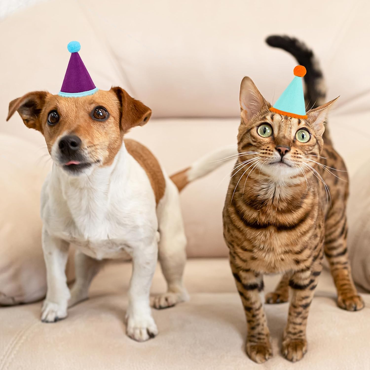 Hooqict 10 PCS Mini Party Hats for Stuffed Animals Colorful Mini Birthday Party DIY Felt Cone Hats with Pom Poms for Small Dogs Puppy Cats Party Animals Toy Figures