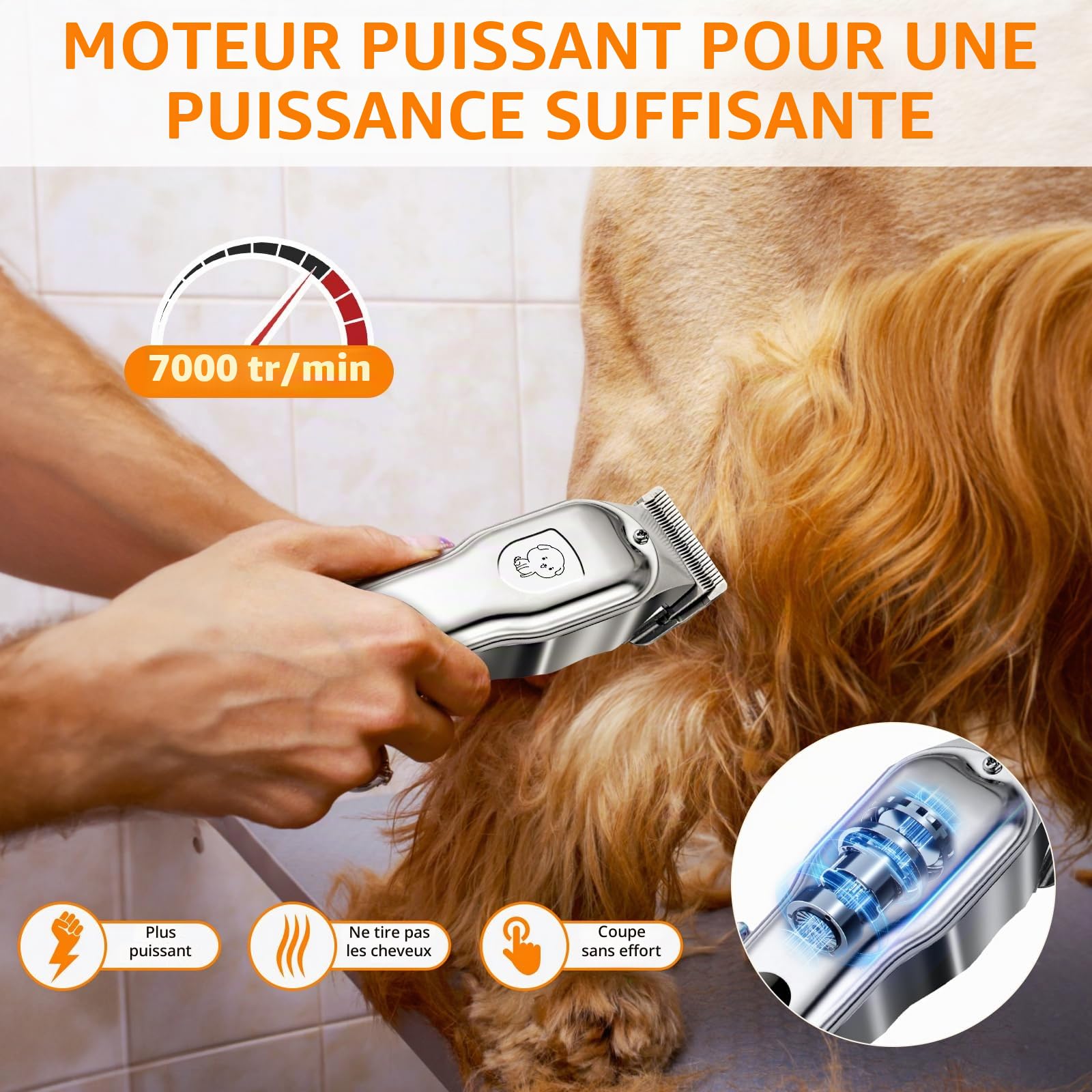 YAZEKY Tondeuse Chien Poil Long Epais, Tondeuse pour Chien Chat Professionnelle Sans Fil avec Ecran LCD, Trimmer Chat Poils Longs Noeud Haute Puissance de Toilettage pour Animaux de Compagnies
