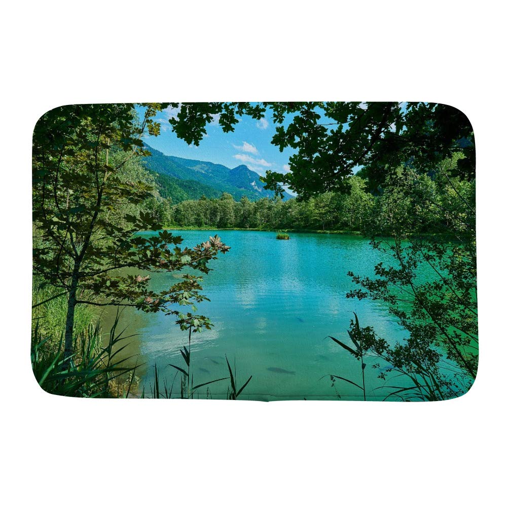 Tapis de bain antidérapant Ruchen contre les glissades sur sol mouillé