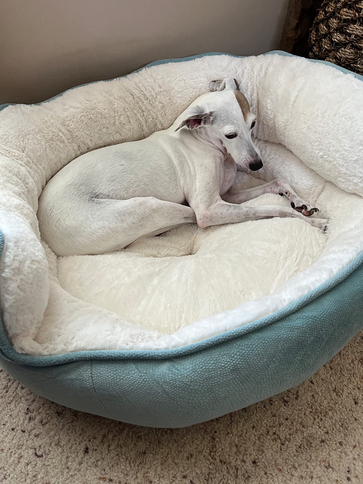 Pet Throne Ilan Cuddler - Jumbo | Best Friends by Sheri