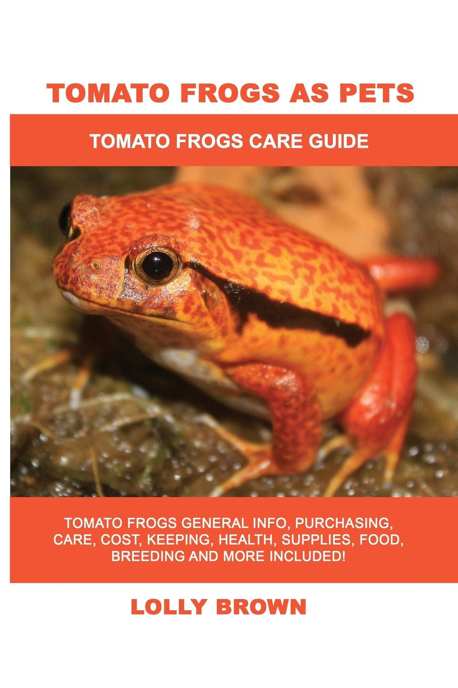 Buy Tomato Frogs as Pets Tomato Frogs General Info, Purchasing, Care