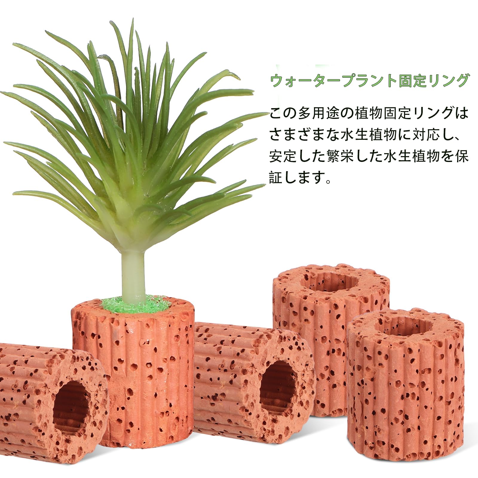 Amazon.co.jp: iplusmile 10個セット 水生植物固定リング 水槽