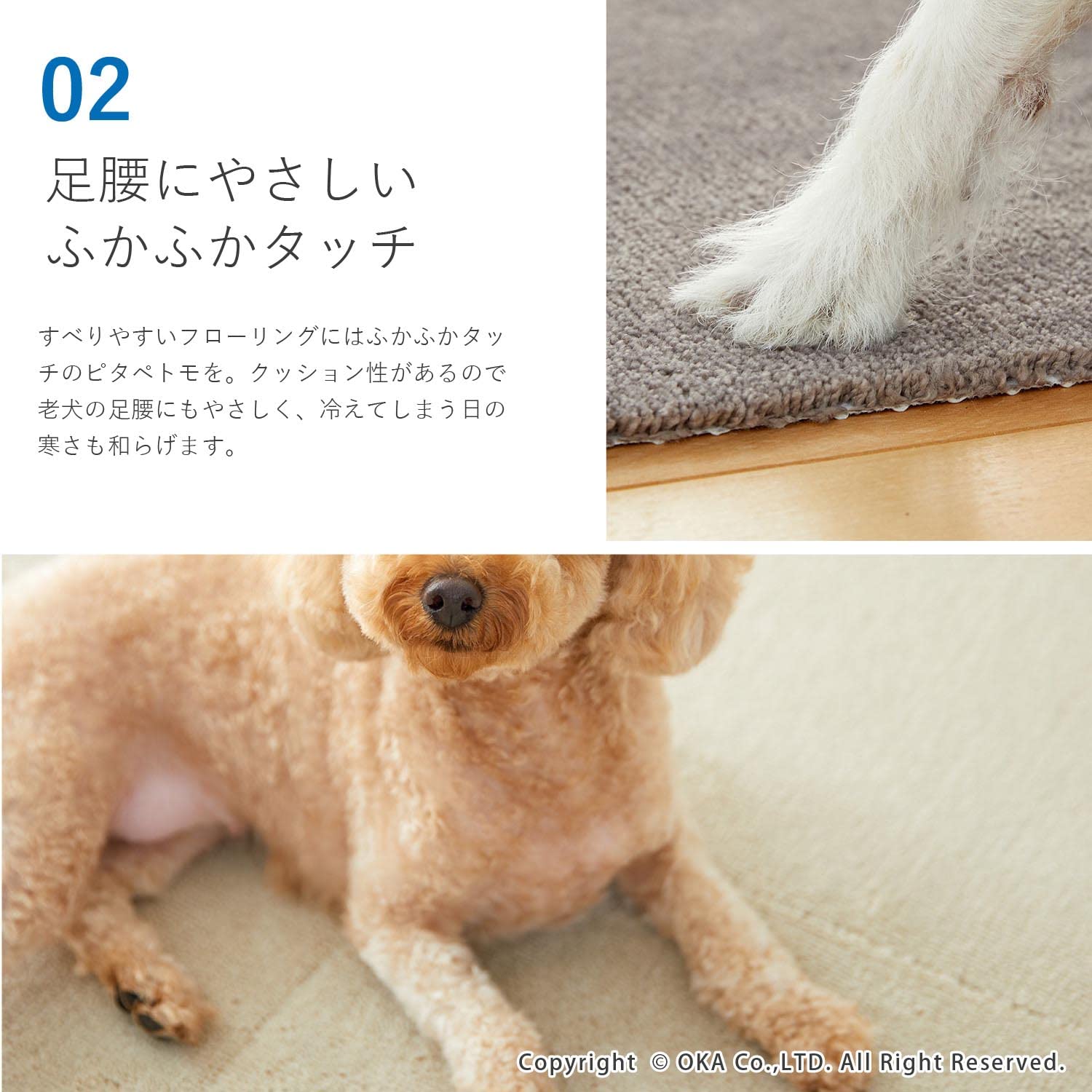 Amazon.co.jp: オカ(OKA) ペット用ラグマット ピタペトモ 約45cm×45cm