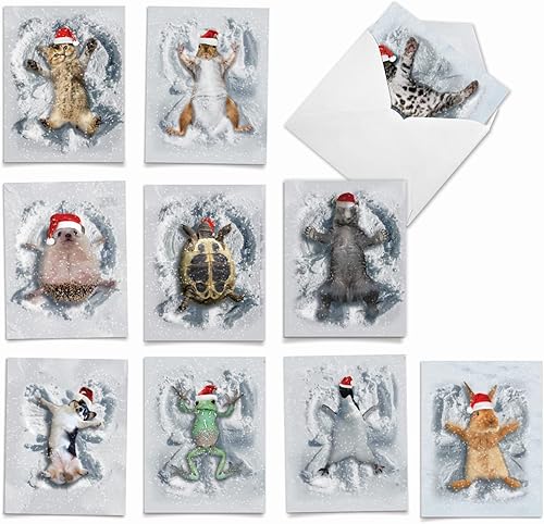 Miniatura 7 de The Best Card Company Paquete variado de 10 tarjetas de felicitación de Navidad con sobres, surtido navideño de humor para hombres y mujeres