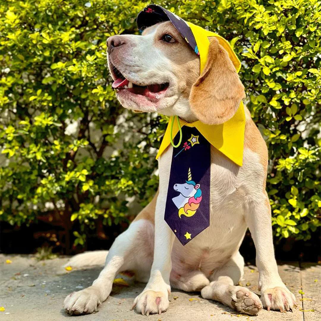 Dog-O-Bow Yellow Unicorn Neck Tie & Baseball Cap Combo (Small) (B0C2ZG67M8) Amazon Price History, Amazon Price Tracker