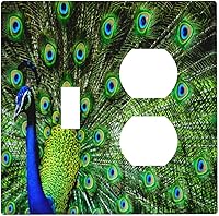 Vista 23 de Cubierta decorativa para toma de corriente de pavo real, cubierta de salida de 1 banda, cubierta de placa de interruptor de luz, placas