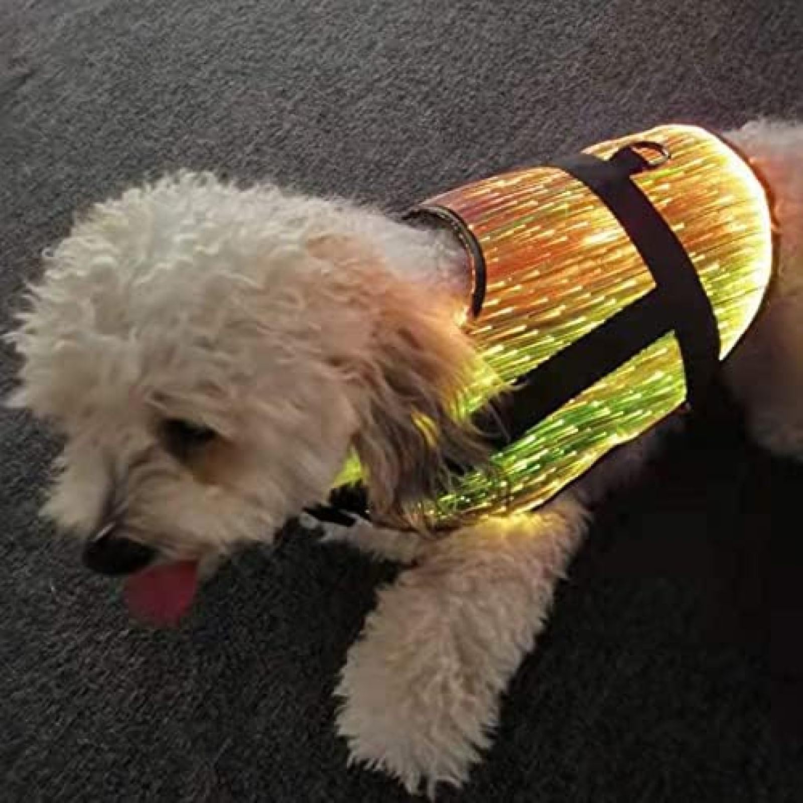 Mascota Perro RGB Ropa Luminosa Colorida, Chaleco Ajustable Arneses Fibra Óptica Ropa para Mascotas Que Brilla Intensamente Arnés para Perros De Fibra Óptica LED Chaleco para Perros Acolchado Suav
