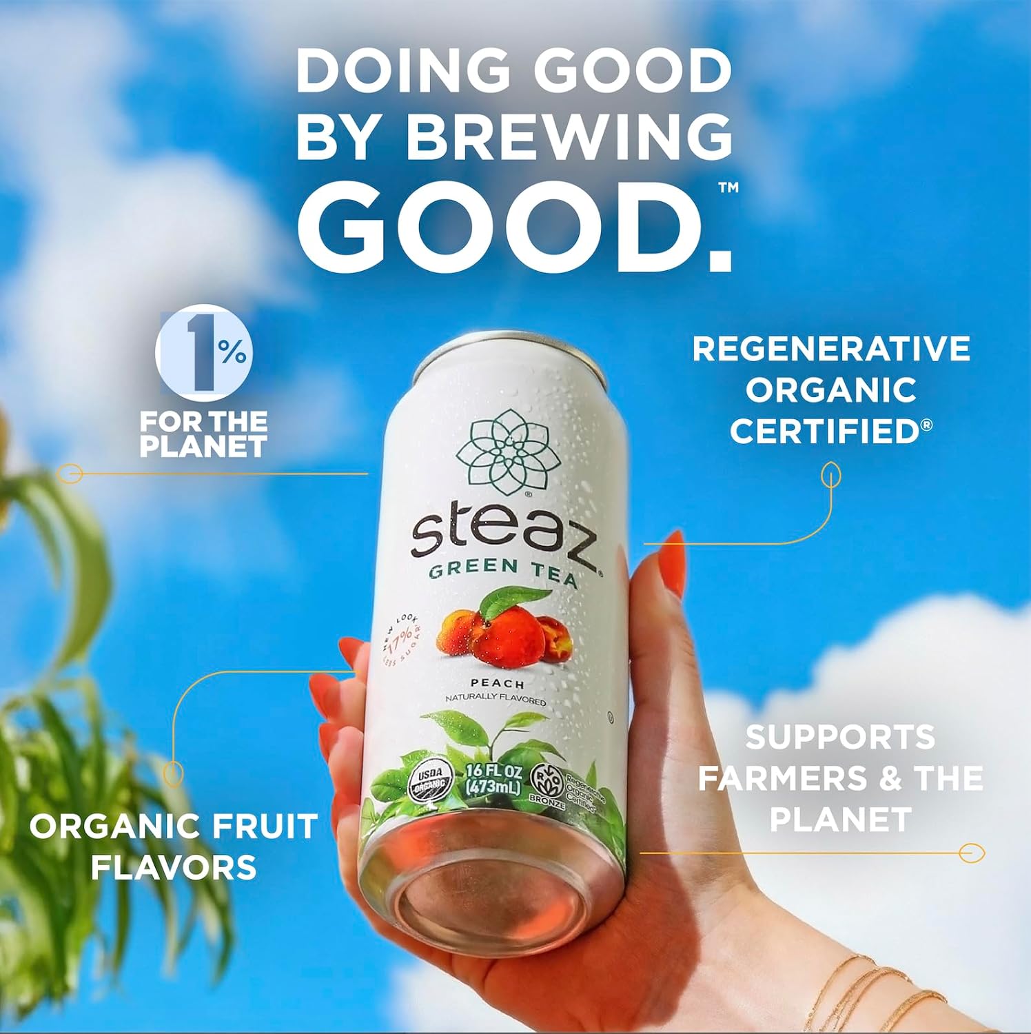 Steaz - Organic Green Tea - Zero Calorie Peach Mango (12 Pack) - Antioxidant Brew - 65mg Natural Caffeine, Vitamin C - Stevia Sweetened Iced Tea - Vegan, Fair Trade - 12 Cans, 16 fl oz (473mL)