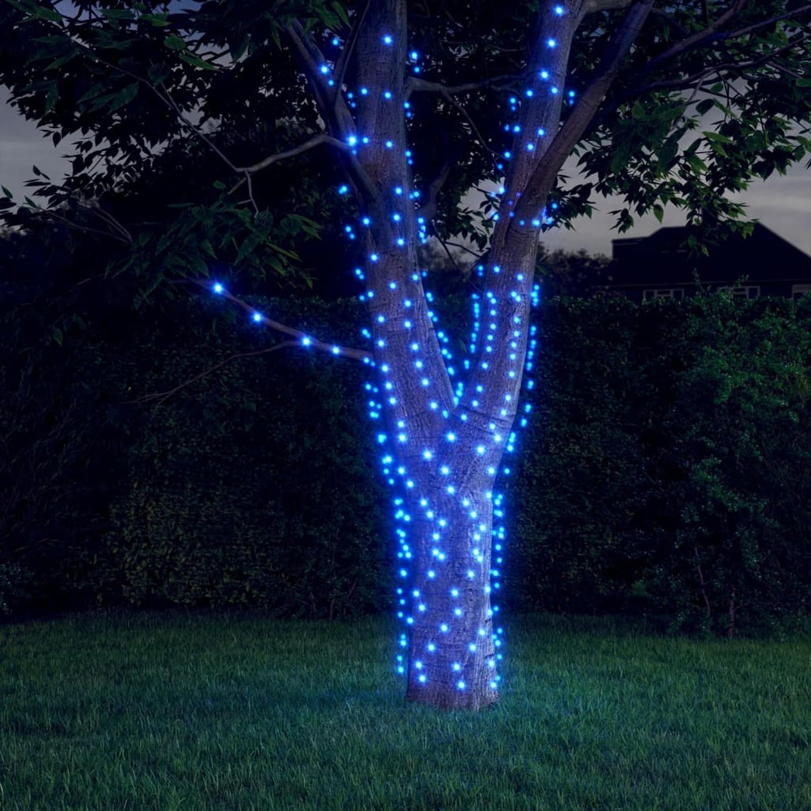 ShGaxin Tiras de Luces solares5 uds Azul Interior/Exterior, Luces Navidad Exterior, Guirnalda Luces Interior, Luces Decorativas Habitacion, Decoracion Navidad Hogar, Fairy Lights