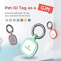 Vista 4 de Pawaii Cuenco de acero inoxidable para perros con base de goma antideslizante y aislamiento de doble pared, diseño duradero, incluye etiqueta