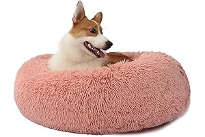 2 in 1 Washable Dog Beds for Medium Dogs