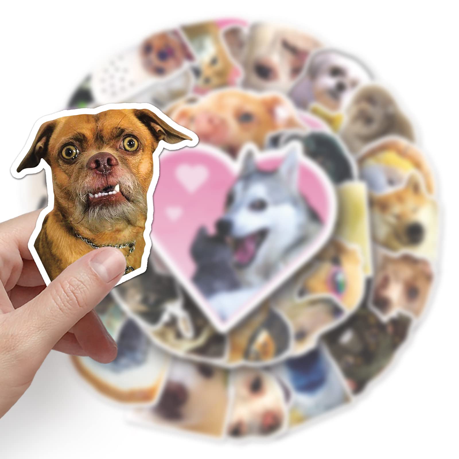 Adesivi Doge Per Laptop - 50 Pezzi Impermeabili In Vinile Per Decorazioni