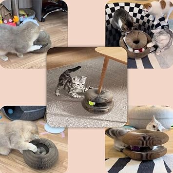 Katlanabilir Kedi Tırmalama Oyuncağı – 1 Adet Catnipli Akordeon Tasarım, Toplu & Zeka Geliştirici Kedi Oyuncağı – Dayanıklı Dalga Mukavva, Ev İçi Tırmalama ve Etkileşimli Oyun Ürünü