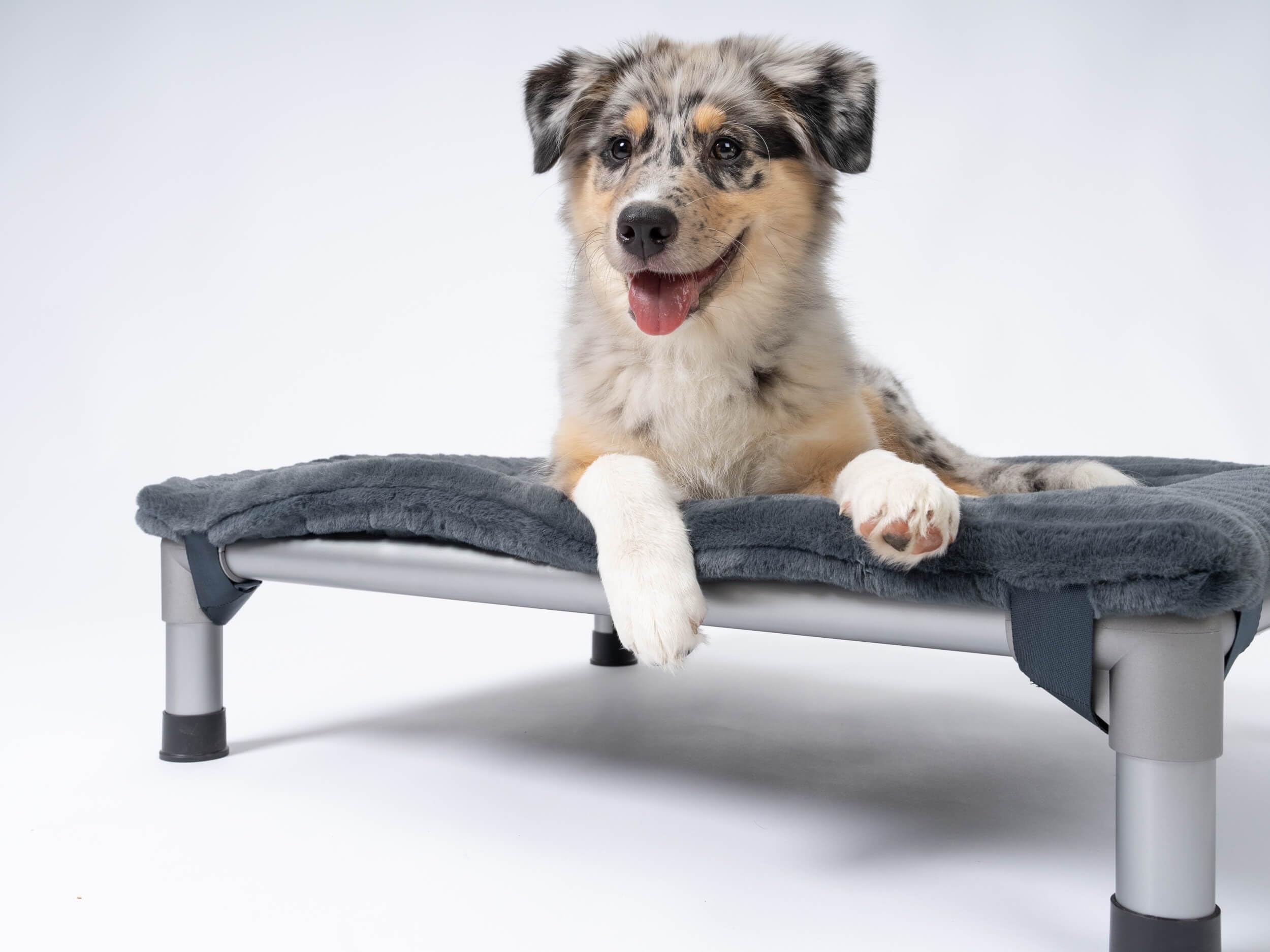 TrendPet Harmony 4cm gefütterte Hundedecke HighBed (90x70cm)