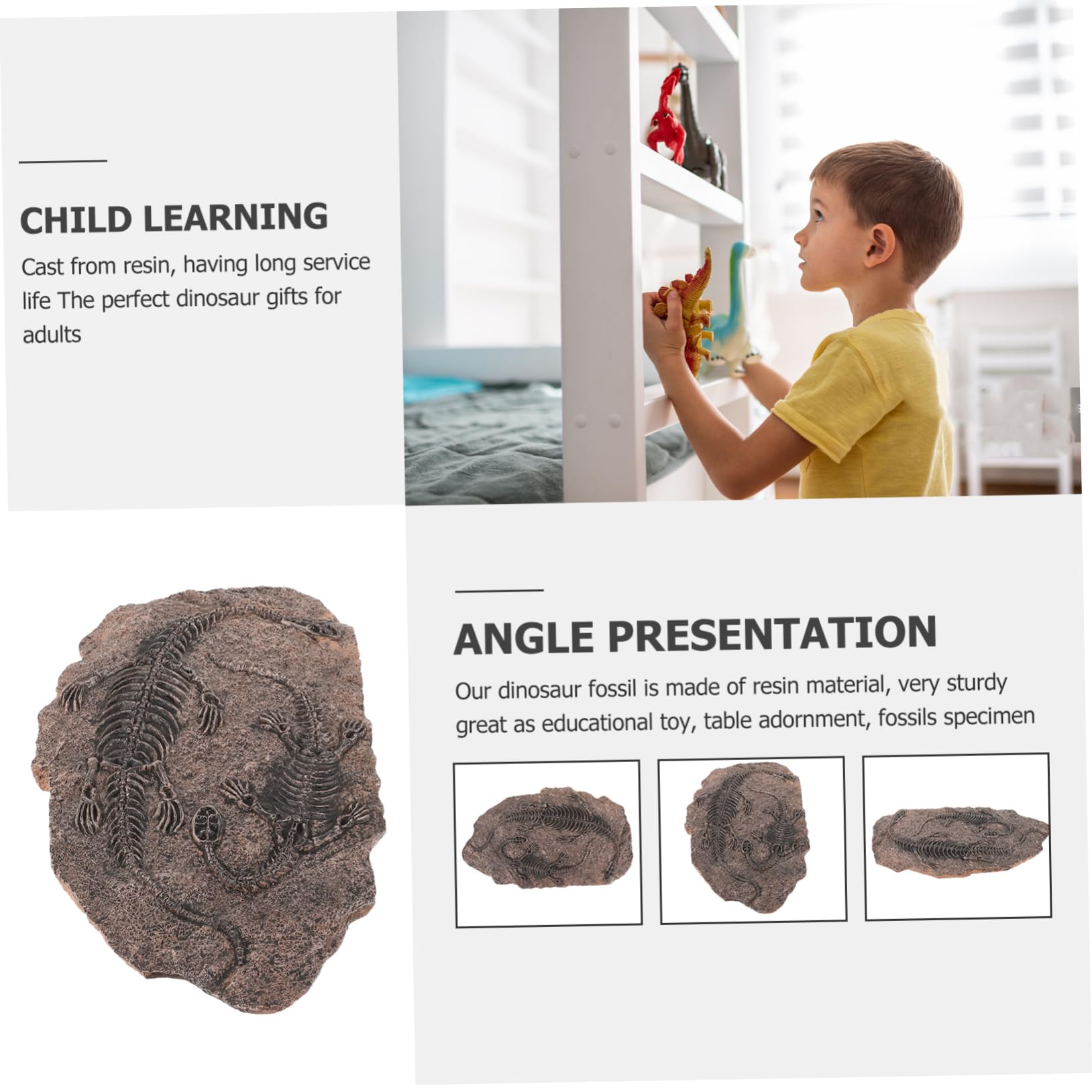 ULTECHNOVO Resin Dinosaur Skull Model Paleontology Adornment Table Ornament Educational Toy Home Decor