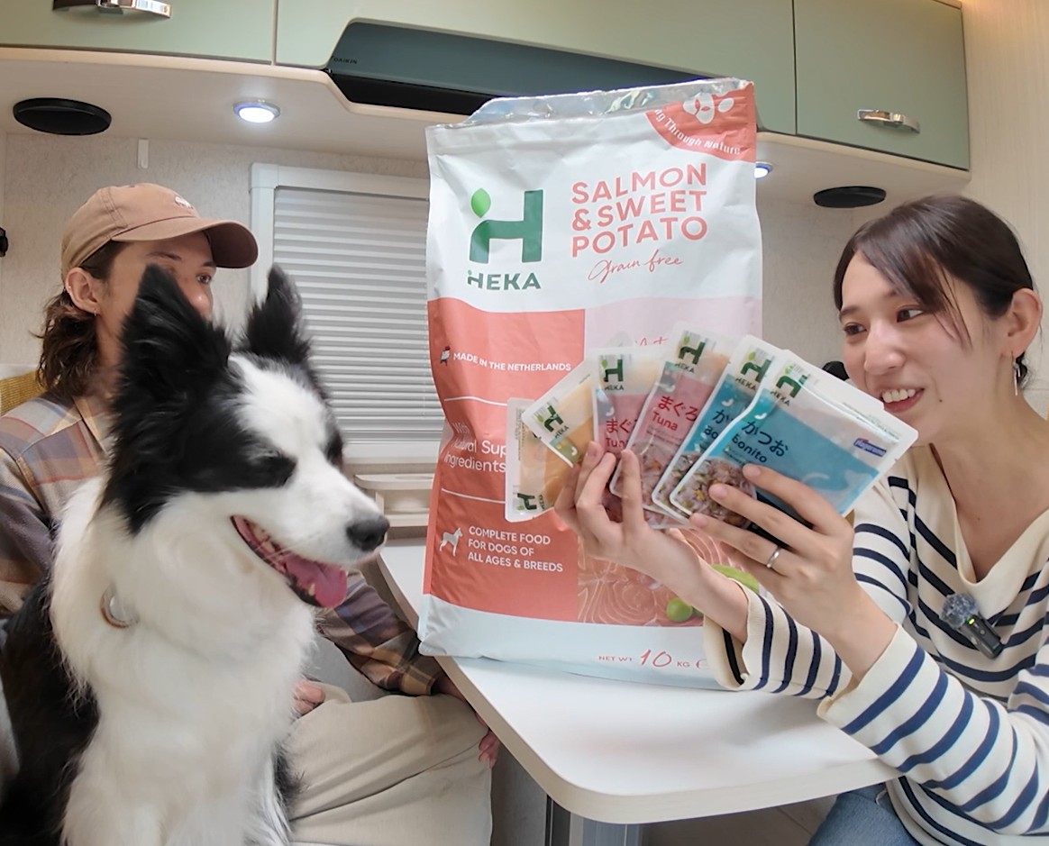 Amazon.co.jp: HEKA グレインフリー ドッグフード ラム ポテト 全犬種