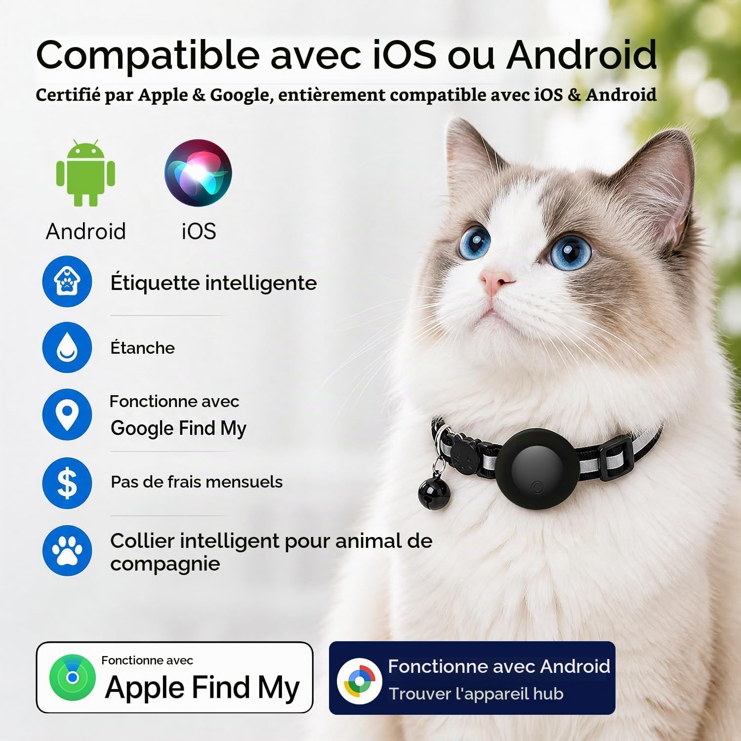 Collier GPS Chat sans Abonnement,Chien Traceur Compatible iOS et Android - Analyse des détails et conception