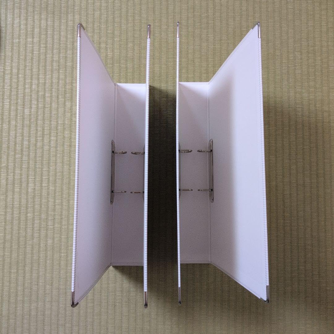 日能研テストファイル2つ