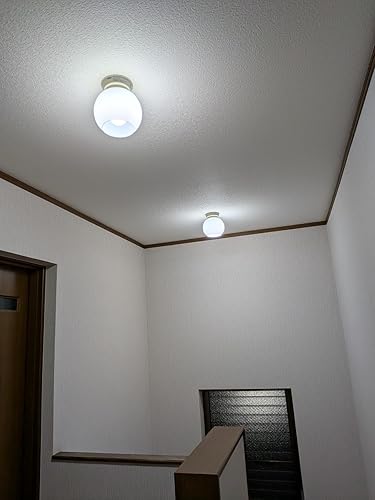 Amazon | TOSHIBA(東芝) LED電球 E26 A形 60W相当 全方向 昼白色 2P