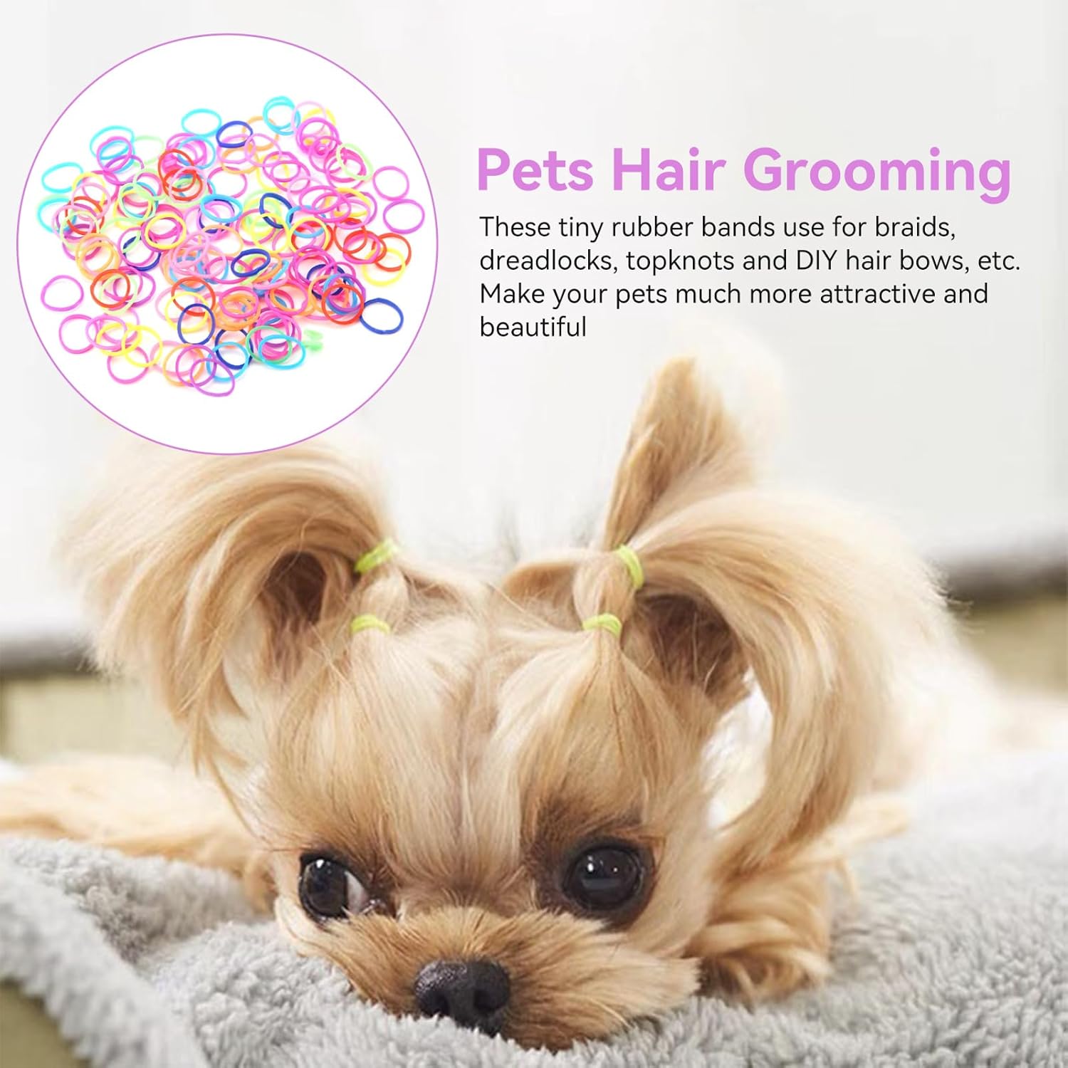 Cyrank 10 Packs of Elastic Bands for Dogs, Hair Ties for Dogs, Wool Bands for Dogs with Mini DIY Elastic Bands, Colourful Beauty Accessories for Dogs 3