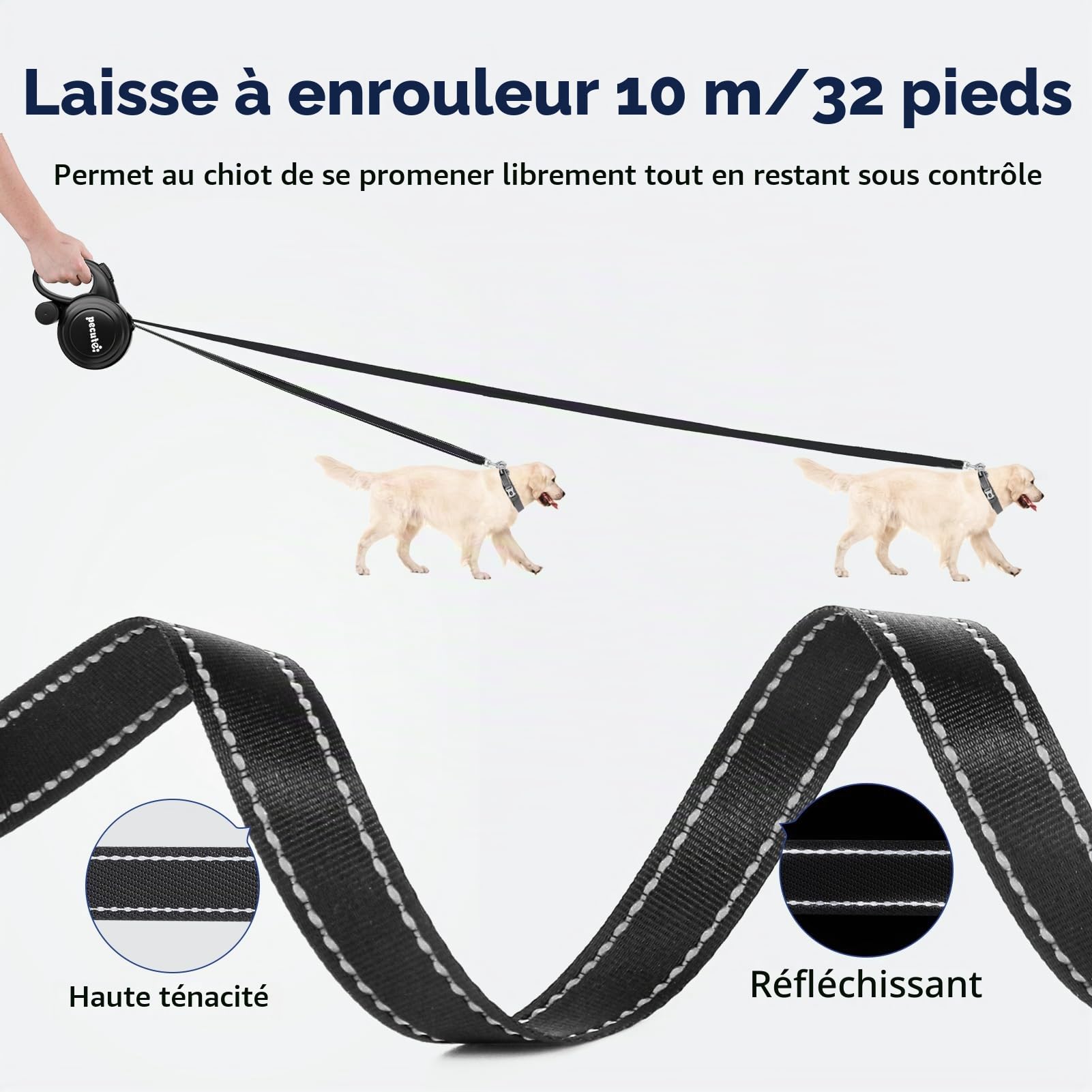 Pecute Laisse Chien Enrouleur 10m, Laisses Rétractables pour Chiens(Jusqu'à 50Kg), avec Un Boutton S'arrêter Bloquer, Ruban en Nylon avec Coutures Réfléchissantes, pour Petit, Moyen et Grand Chiens