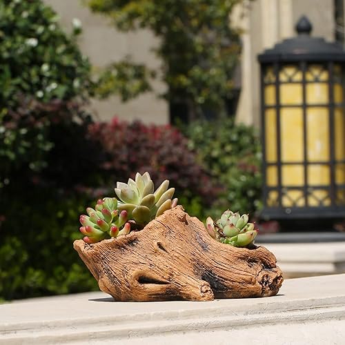 Macetero artificial de madera flotante, escultura de hormigón, macetas para suculentas, tocón, creativas, macetas de bonsái rústicas, cemento de