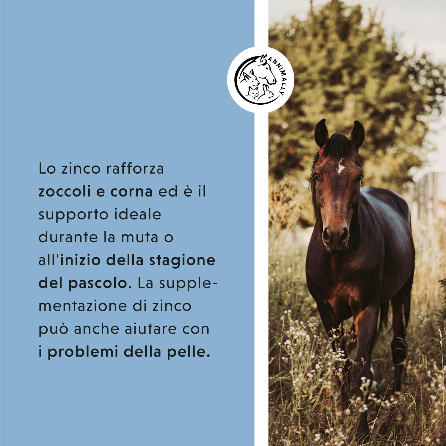 Annimally Zinco per Cavalli - Pellets di Zinco (700 g) ad Alta dose con cumino Nero, Zeolite, esparcetta e lievito di Birra per la Pelle, i Capelli e Gli Zoccoli