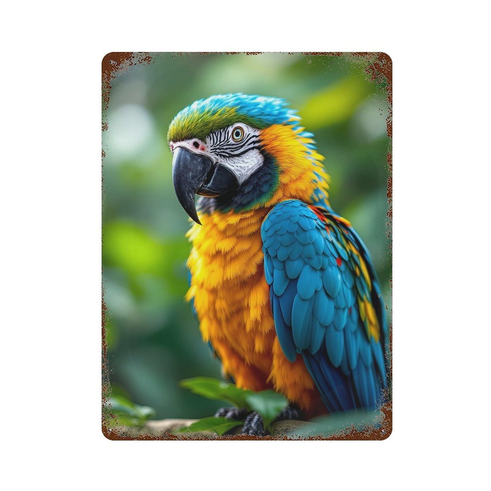 Blue And Gold Macaw 15.7"x11.8" Decorative Tin Sign, Retro Wall Decor for Bistro, Counter And Cafe Decor
