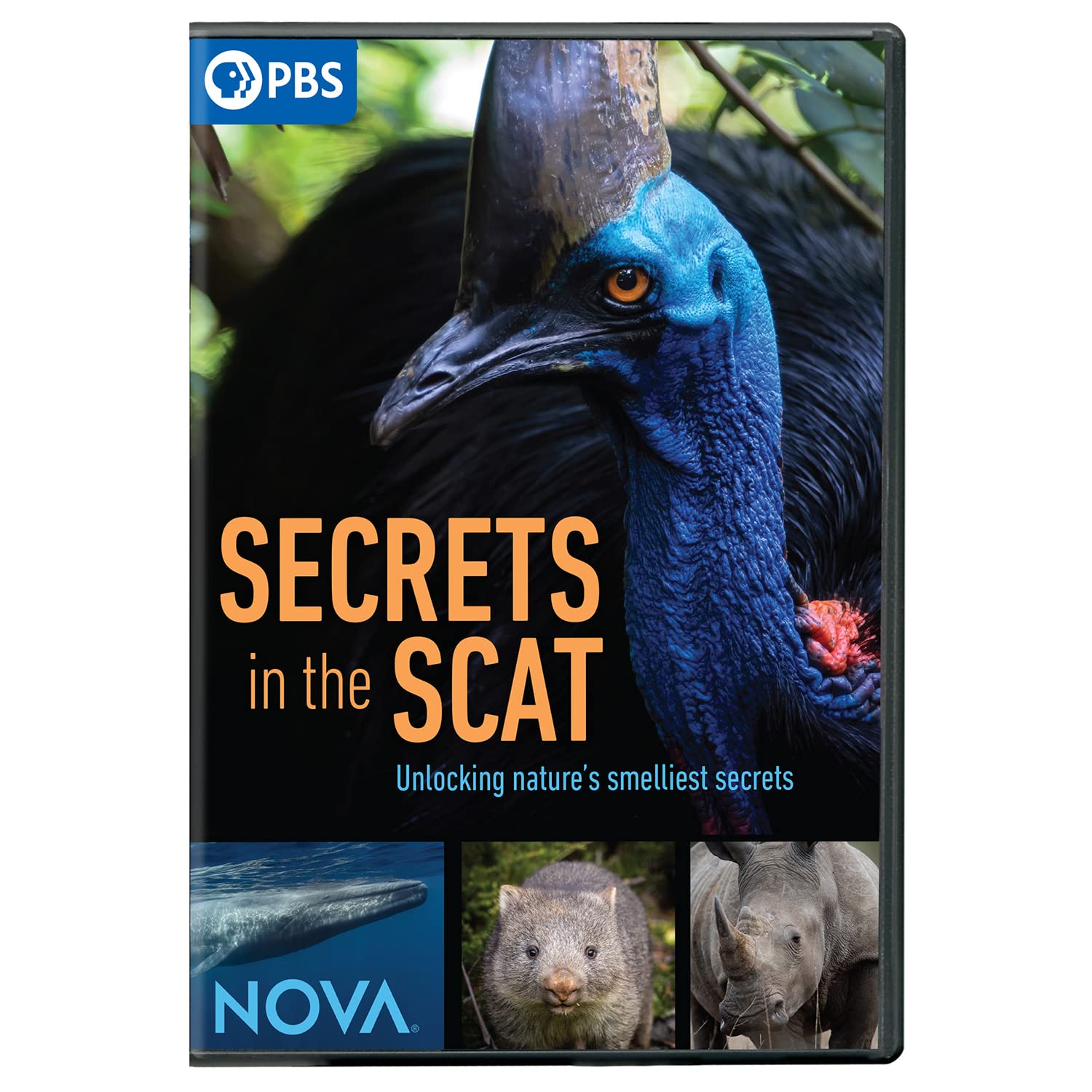NOVA: Secrets in the Scat