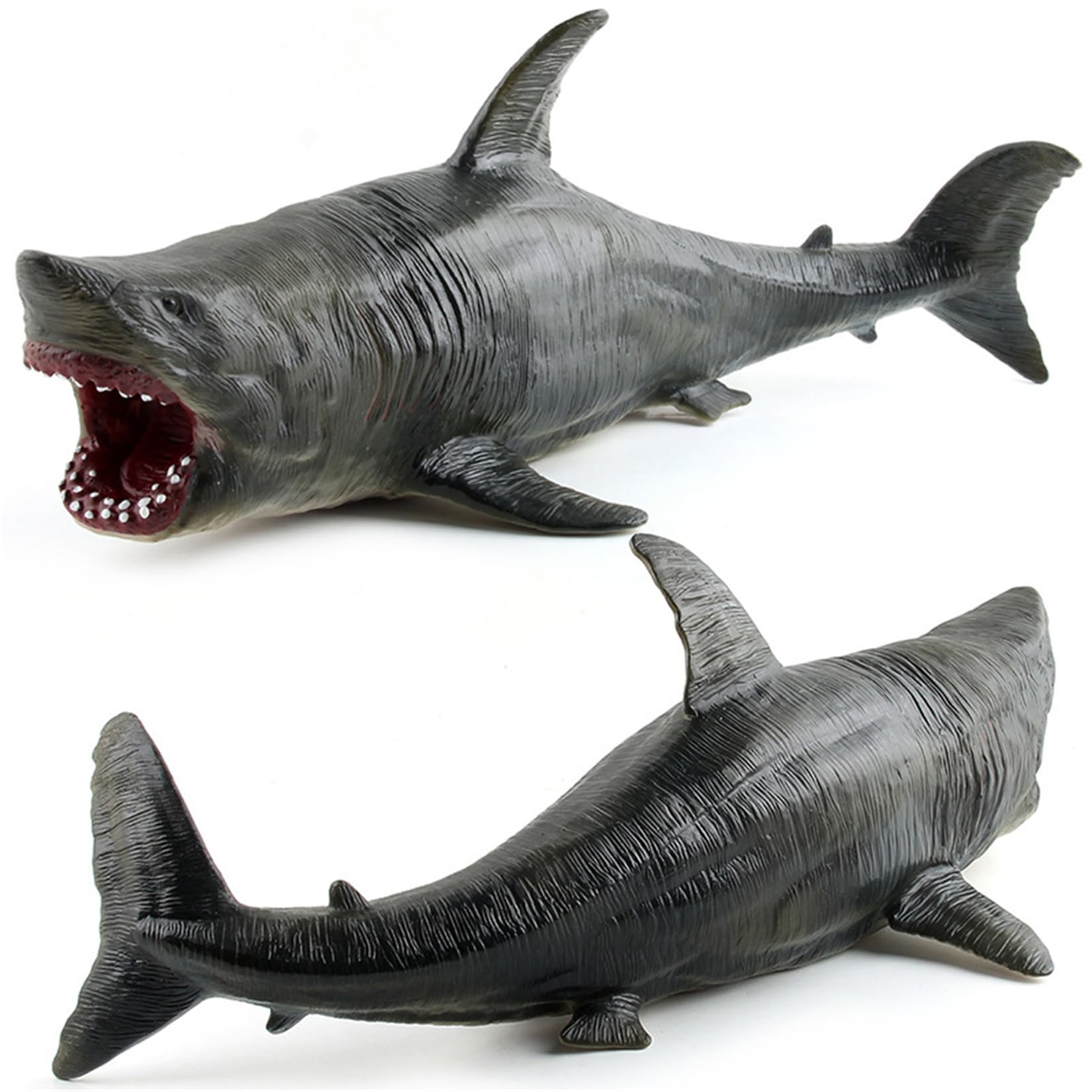 海の王者、ホホジロザメリアルフィギュア SKU250818T ホホジロザメ フィギュア2 プロモデル Great white shark